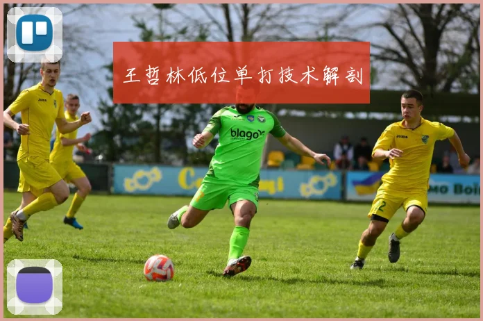 王哲林低位单打技术解剖