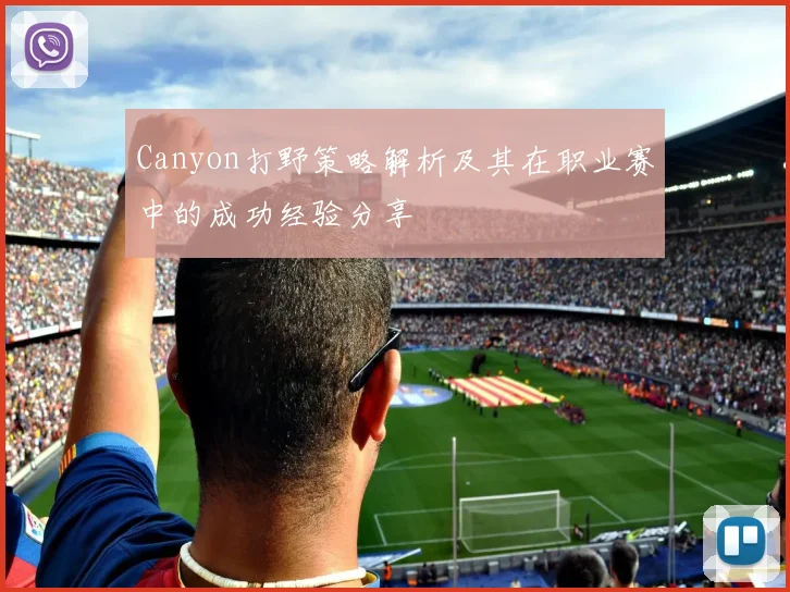 Canyon打野策略解析及其在职业赛中的成功经验分享