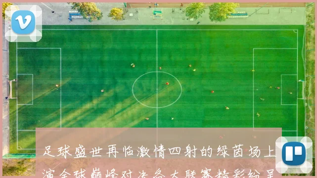 足球盛世再临激情四射的绿茵场上演全球巅峰对决各大联赛精彩纷呈