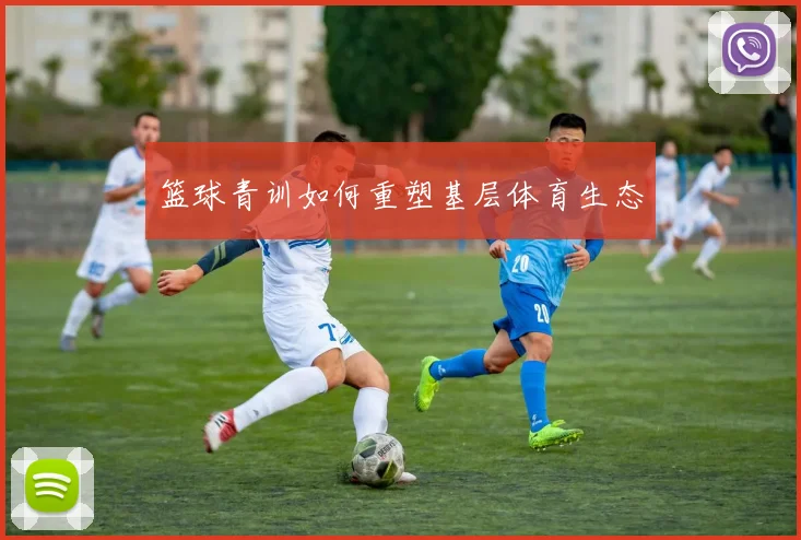 篮球青训如何重塑基层体育生态